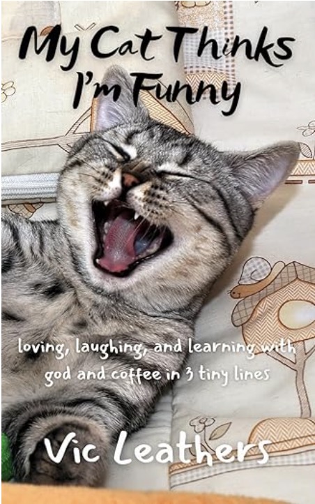 my-cat-thinks-im-funny